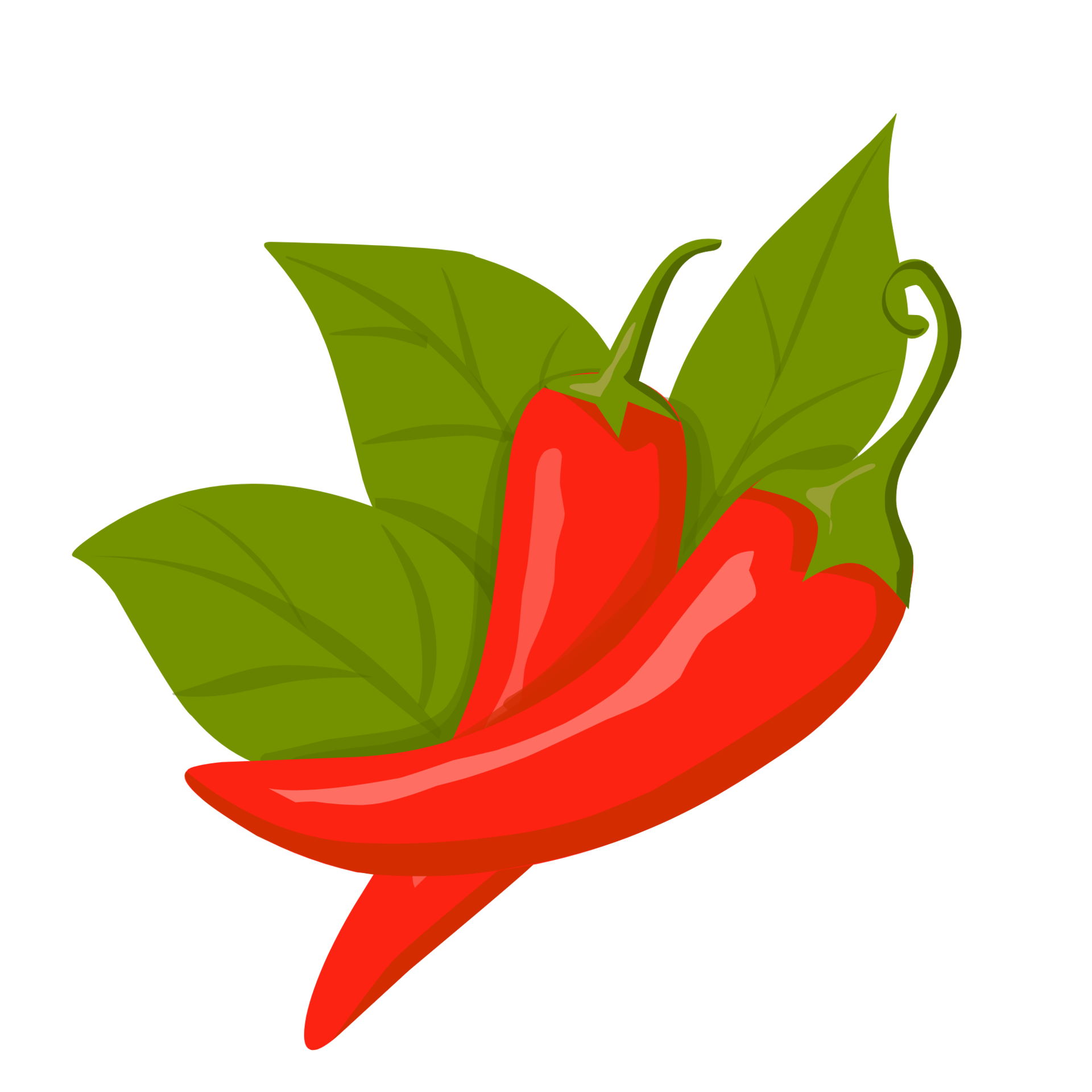 red-chilli-pepper-22962237-png