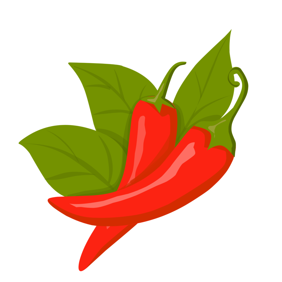roter Chilipfeffer png