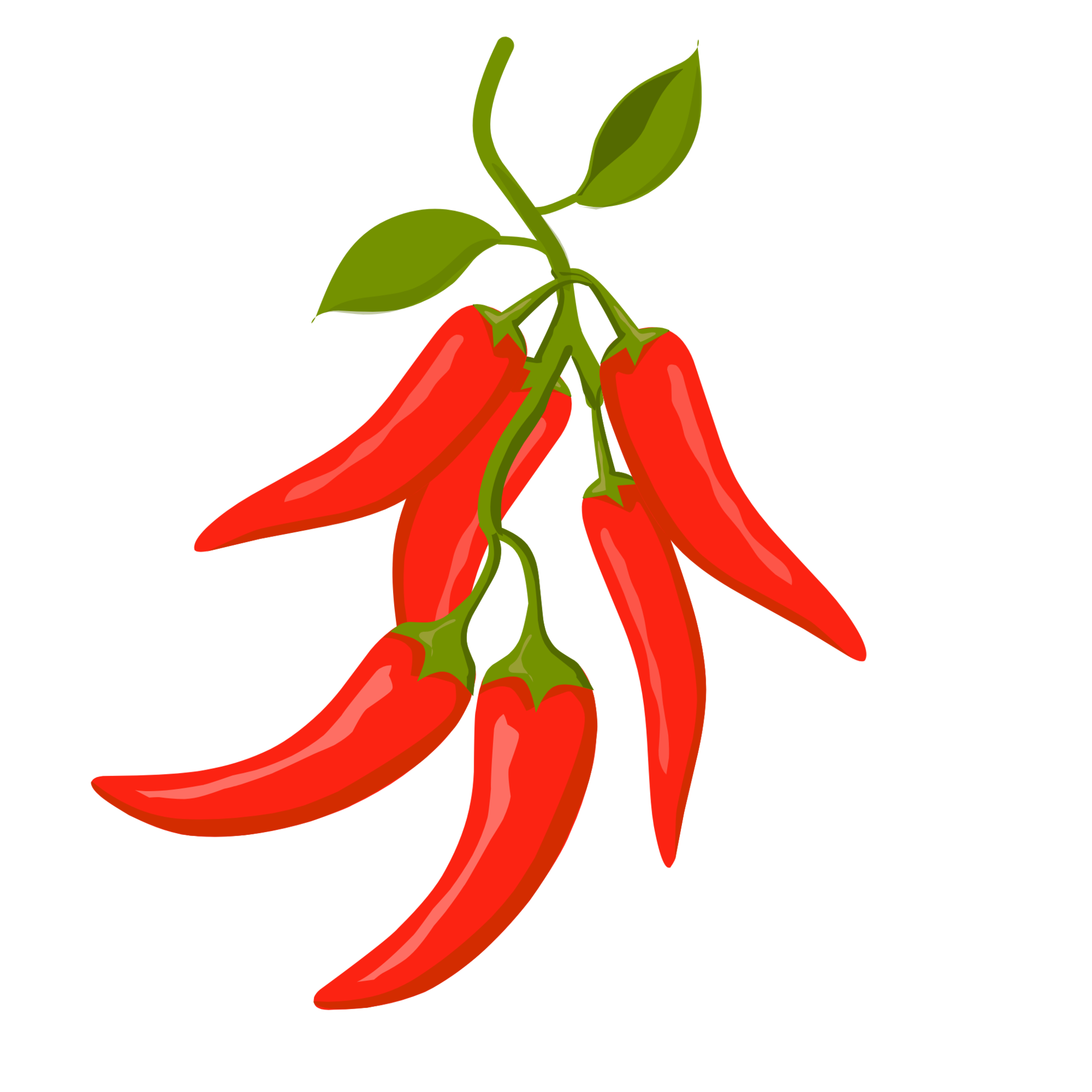 Red Chilli Pepper 22962243 PNG red-chilli-pepper-22962243-png