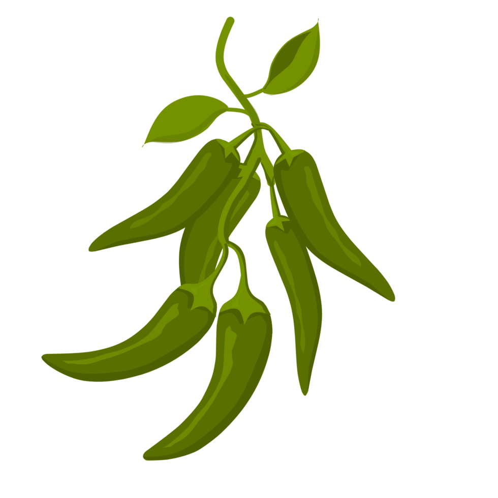 Green chilli pepper png