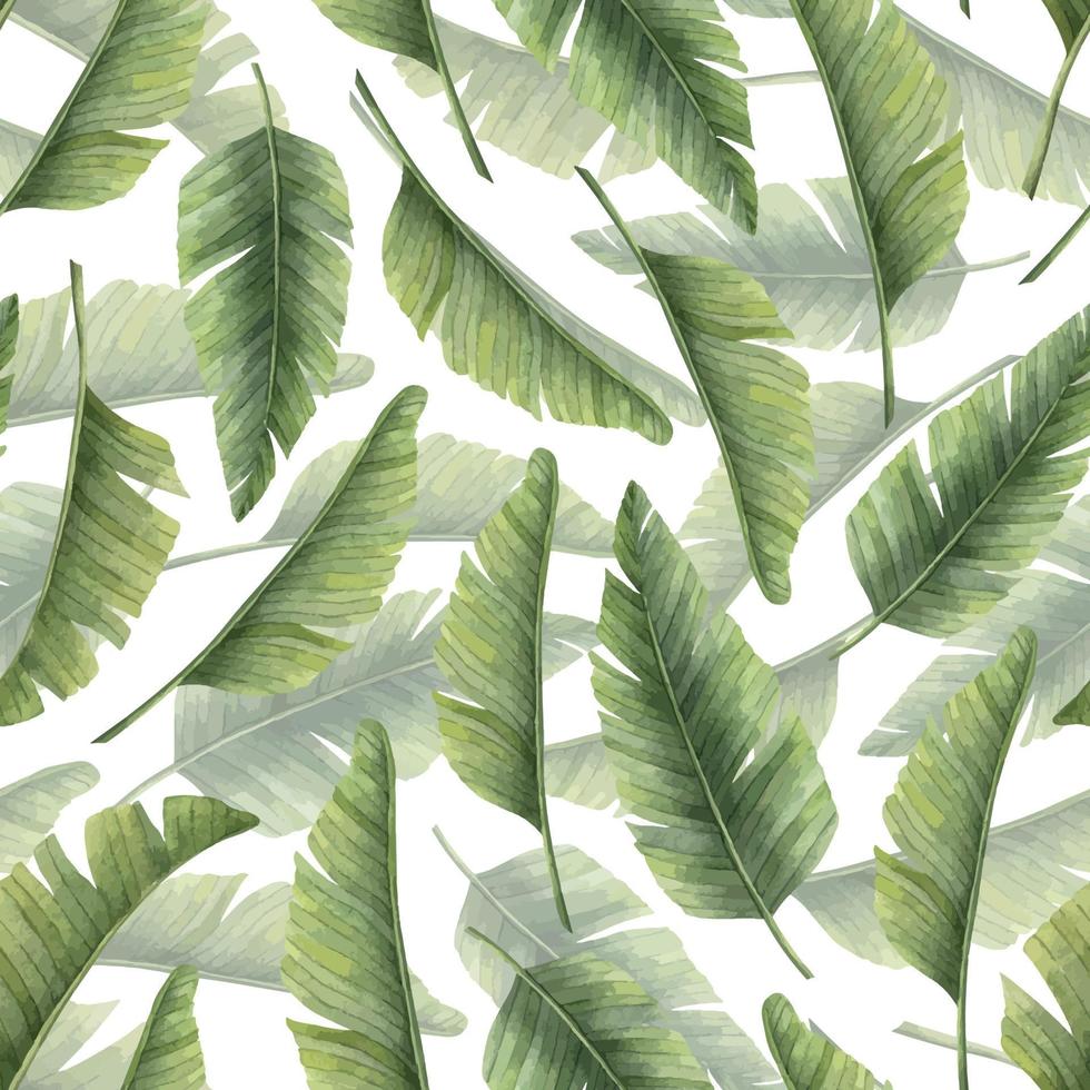 Seamless Watercolor Pattern with exotic Tropical Palm Leaves on isolated background. Hand drawn ornament with summer green tree branches for textile design or wrapping paper. Botanical colorful print. vector