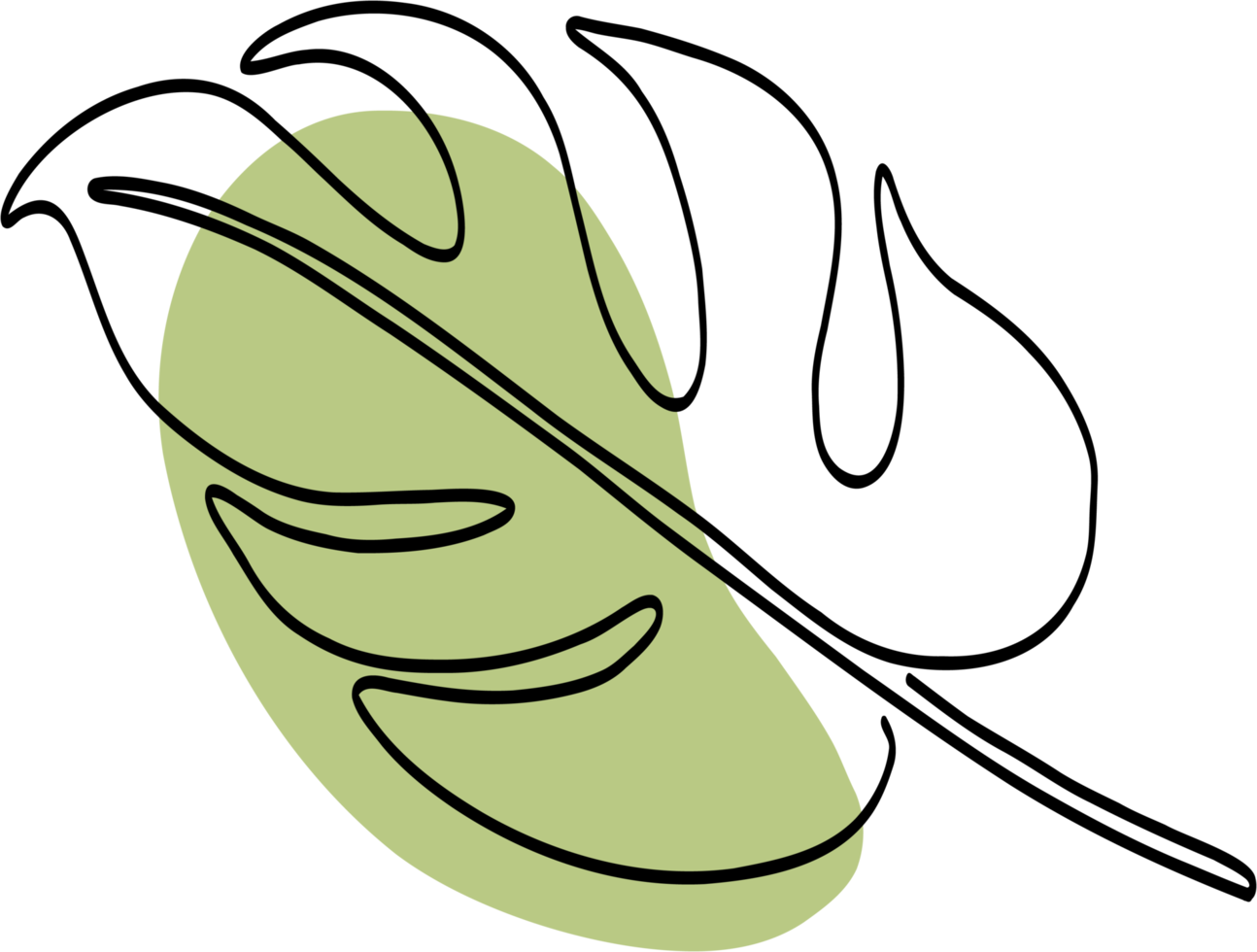 Simplicity monstera leaf freehand drawing png