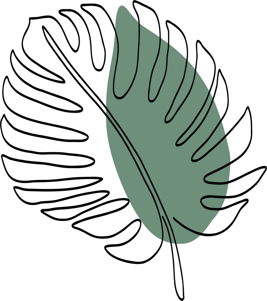 Simplicity monstera leaf freehand drawing png