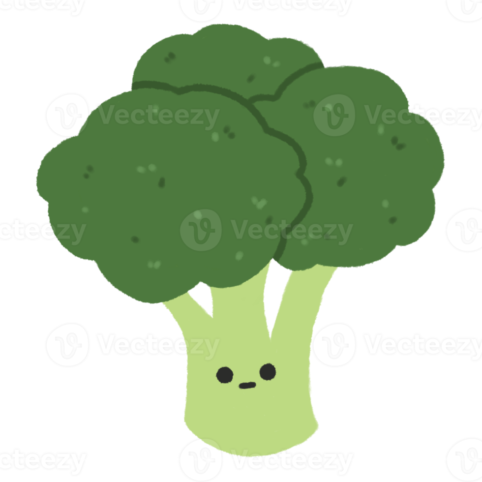 Hand-drawn Cute Broccoli, Cute vegetable character design in doodle style png