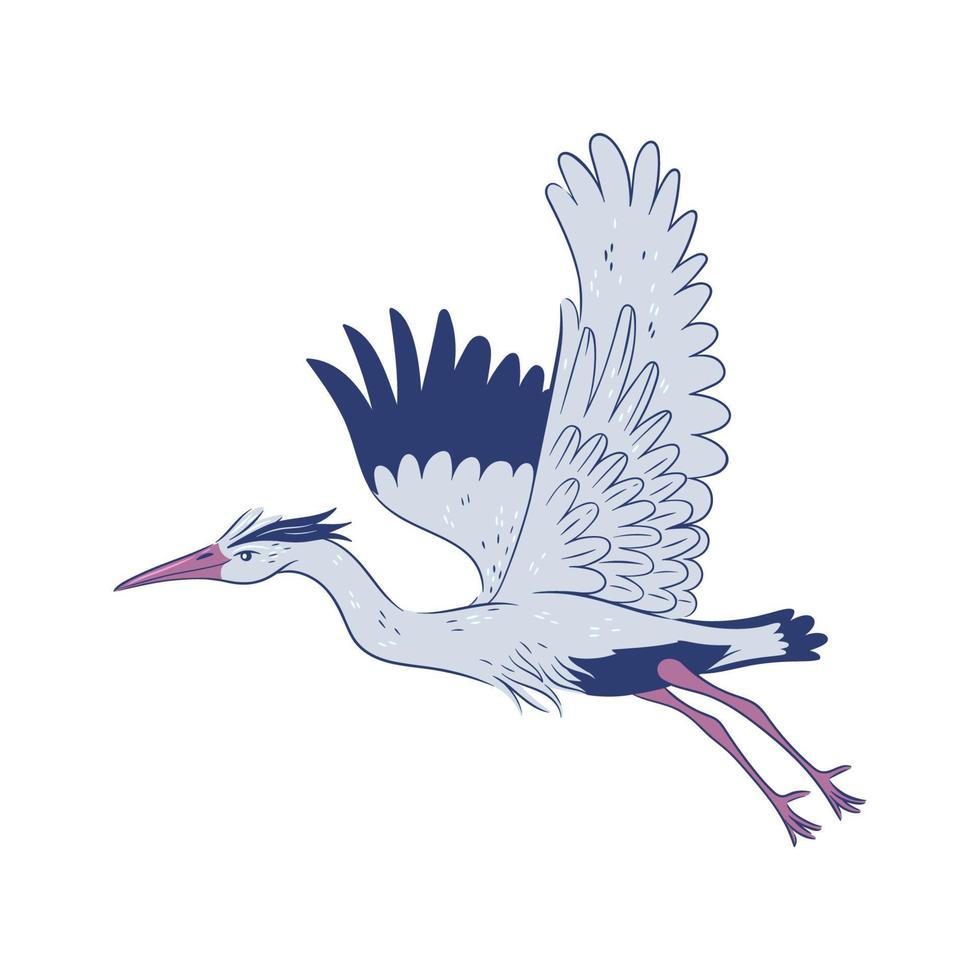Heron in flight isolate on white background. Vector graphics.