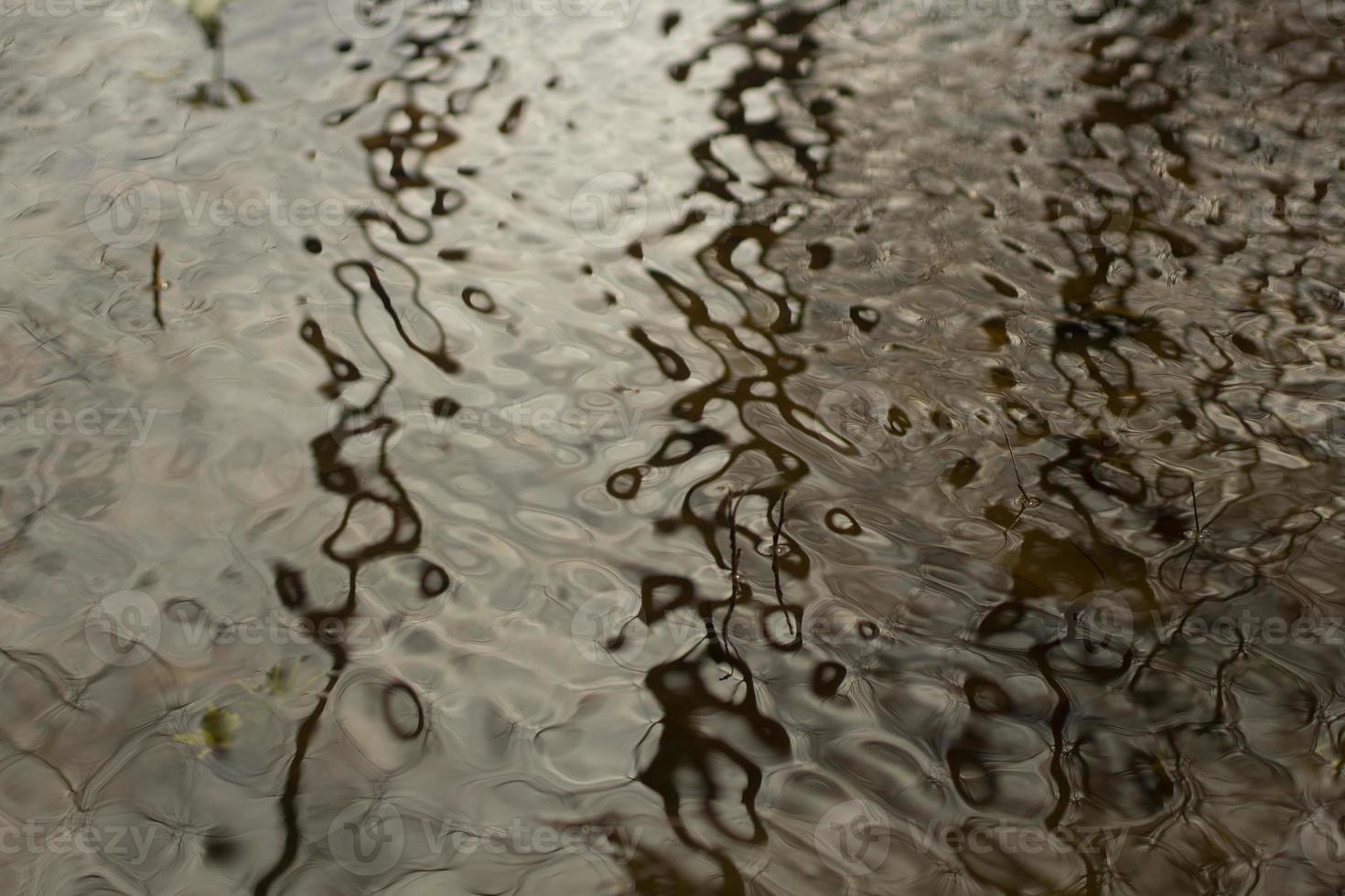 Ripples on water. Texture of water. Small waves on surface. photo