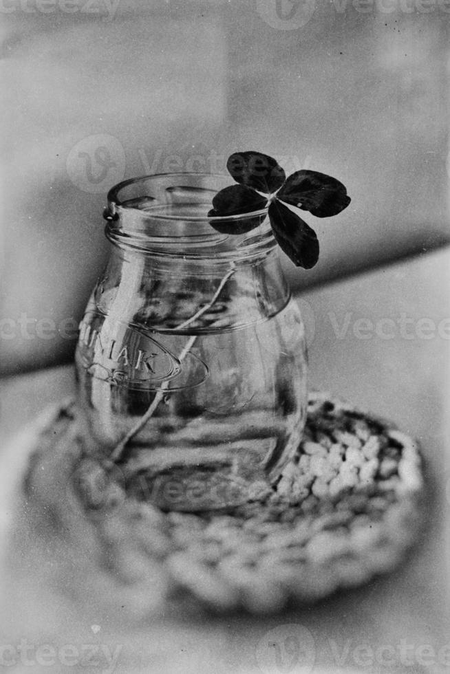 a bouquet of l field four-leaf clovers in a small vase on a light smooth background photo