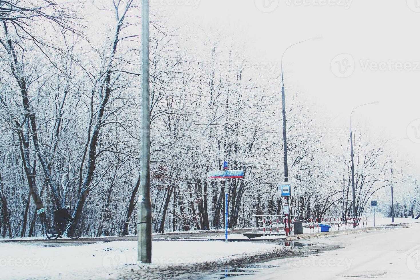 winter landscape with fresh snow and trees photo