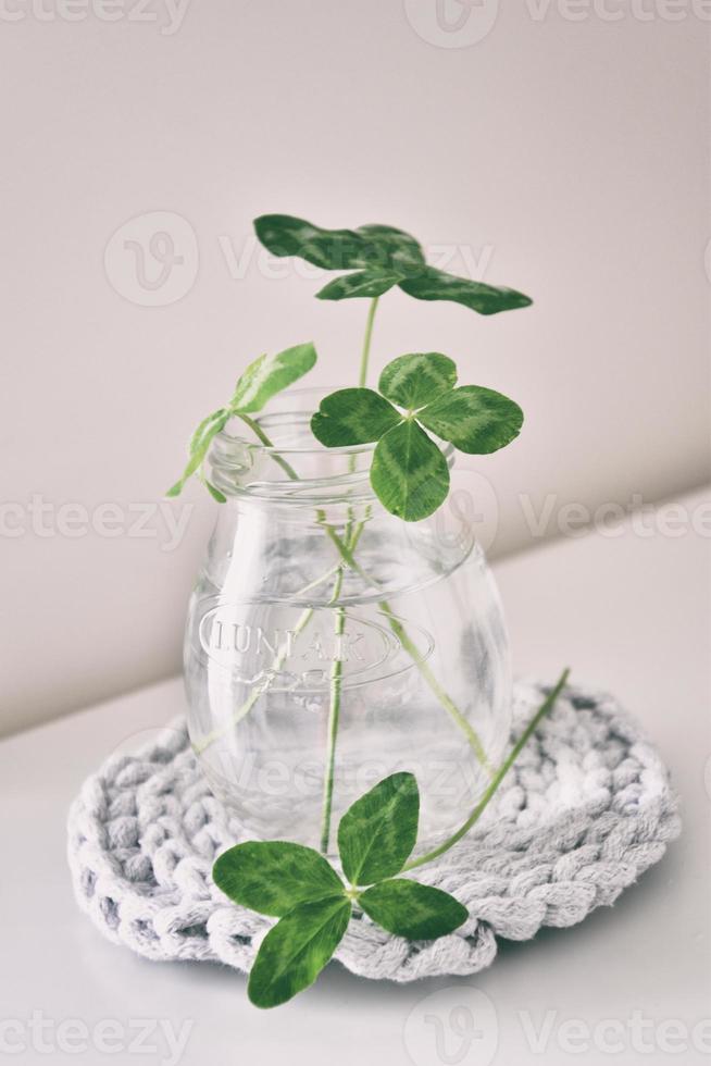 a bouquet of l field four-leaf clovers in a small vase on a light smooth background photo