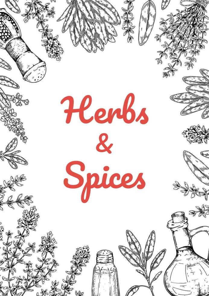 Herbs and spices vertical design. Hand draw background with cooking ingredients in sketch style. Detailed vector illustration