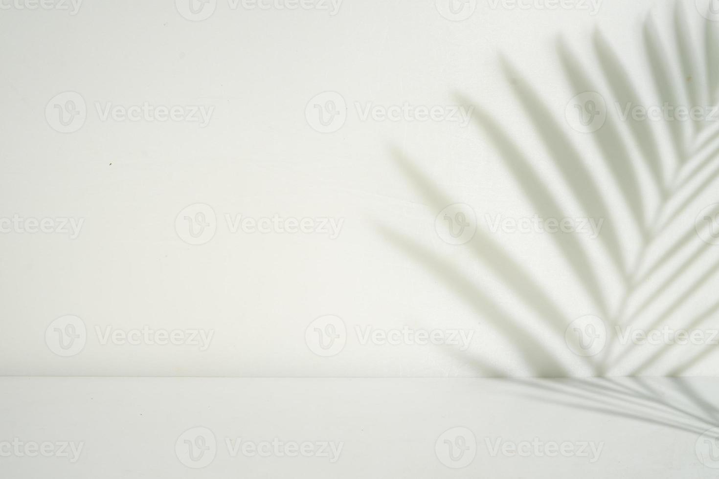 Palm leaf perspective shadow overlay. product display room photo