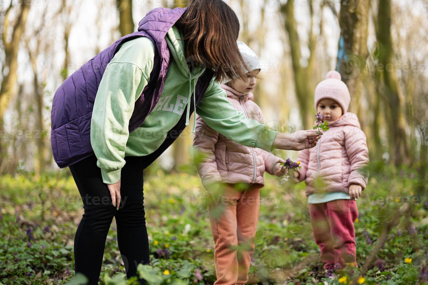 Mother with two daughters on forest. Outdoor spring leisure concept. photo
