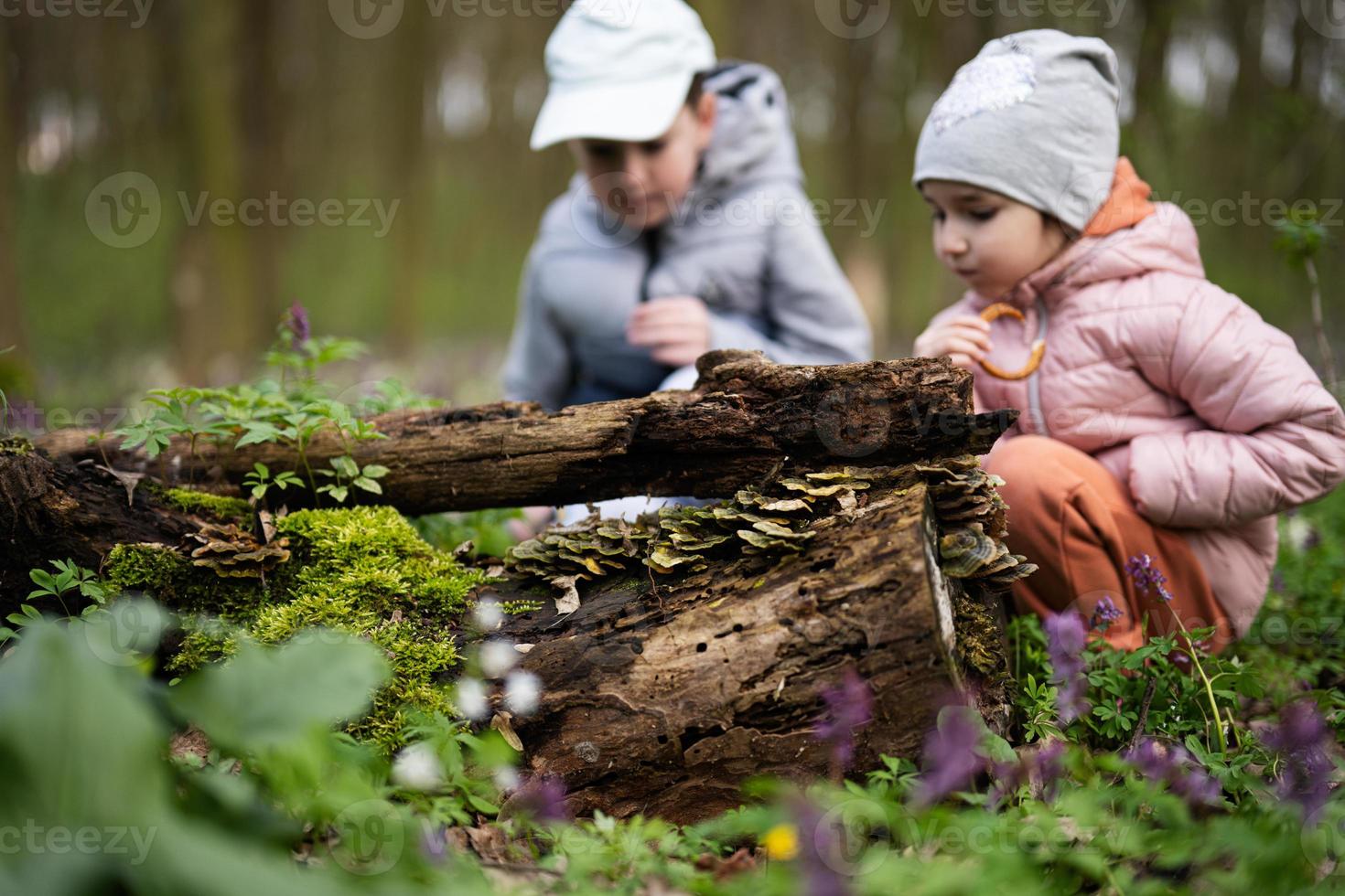 Brother with sister discover wood at spring forest. photo
