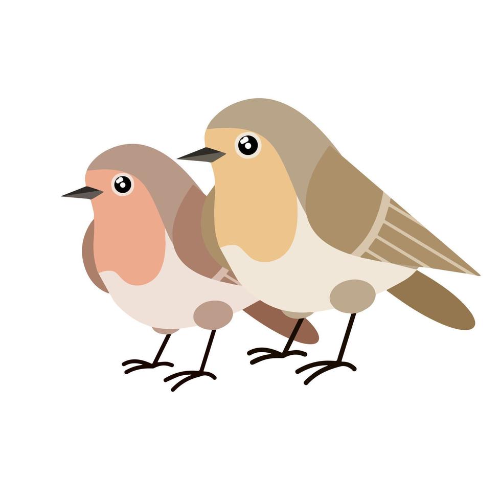 Set of Nightingale. Four Bird. Wild animal. Winged songbird. Cartoon flat illustration. vector
