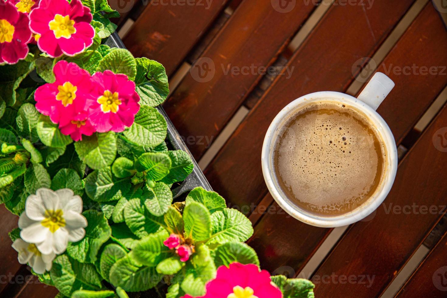 cup of coffee outdoor flower primrose multicolored copy space food background rustic top view photo
