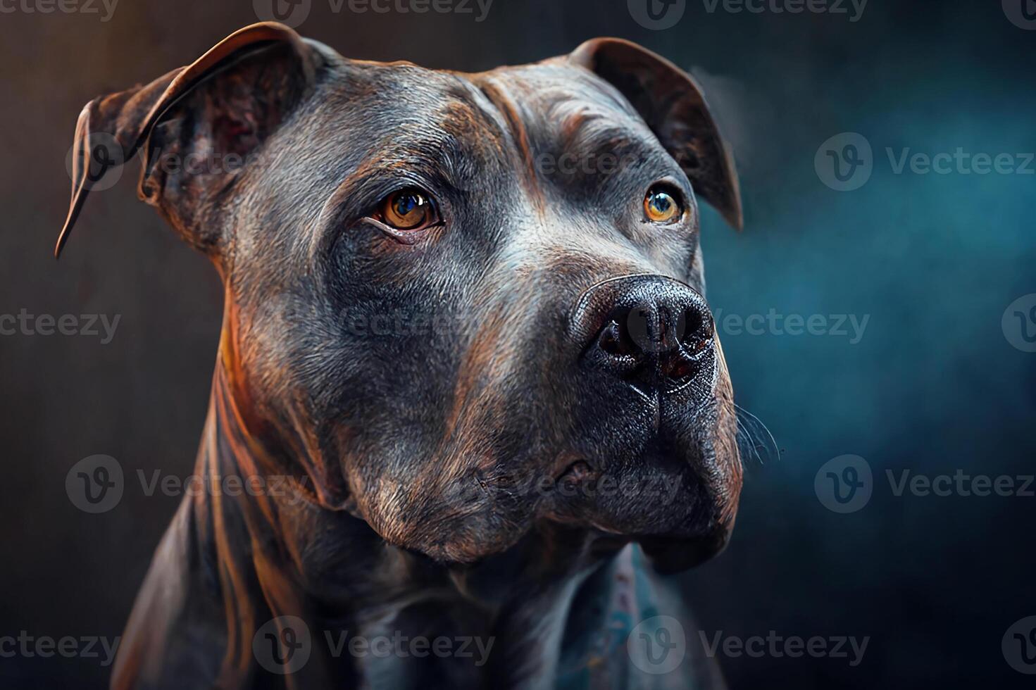 Dog breed German Dog of giant size. dark background. photo