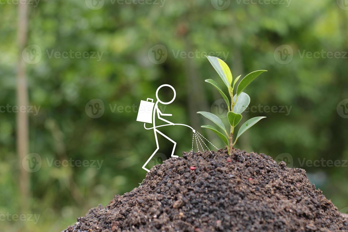illustration of a stick figure spraying, watering a banyan plant outdoors. Illustration of a campaign to protect climate change and a healthy environment photo