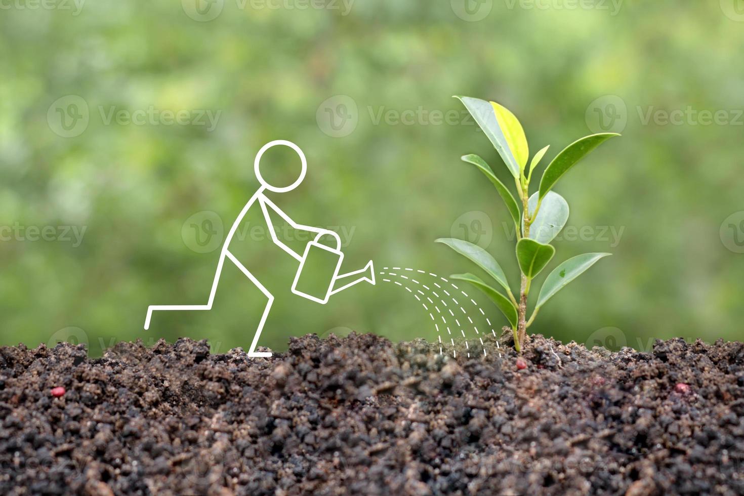 llustration of a stick figure watering a banyan plant outdoors. Illustration of a campaign to protect climate change and a healthy environment photo