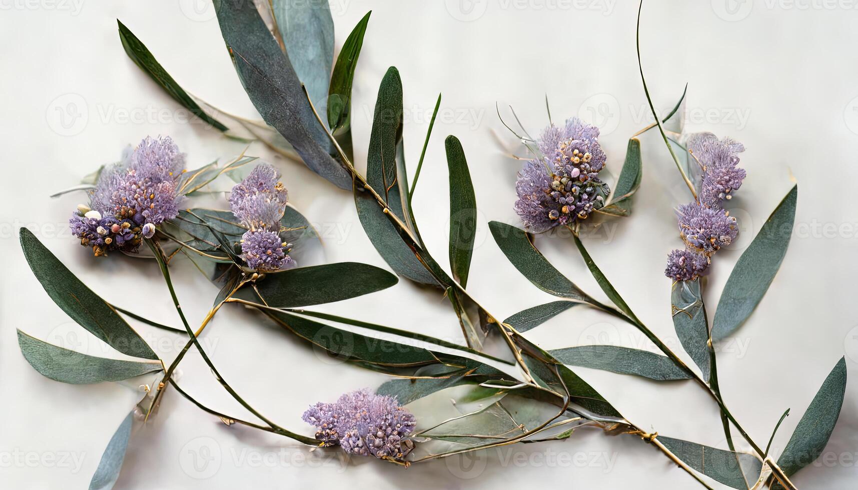 Lavender flowers and eucalyptus branches isolated on white, Floral wreath. photo