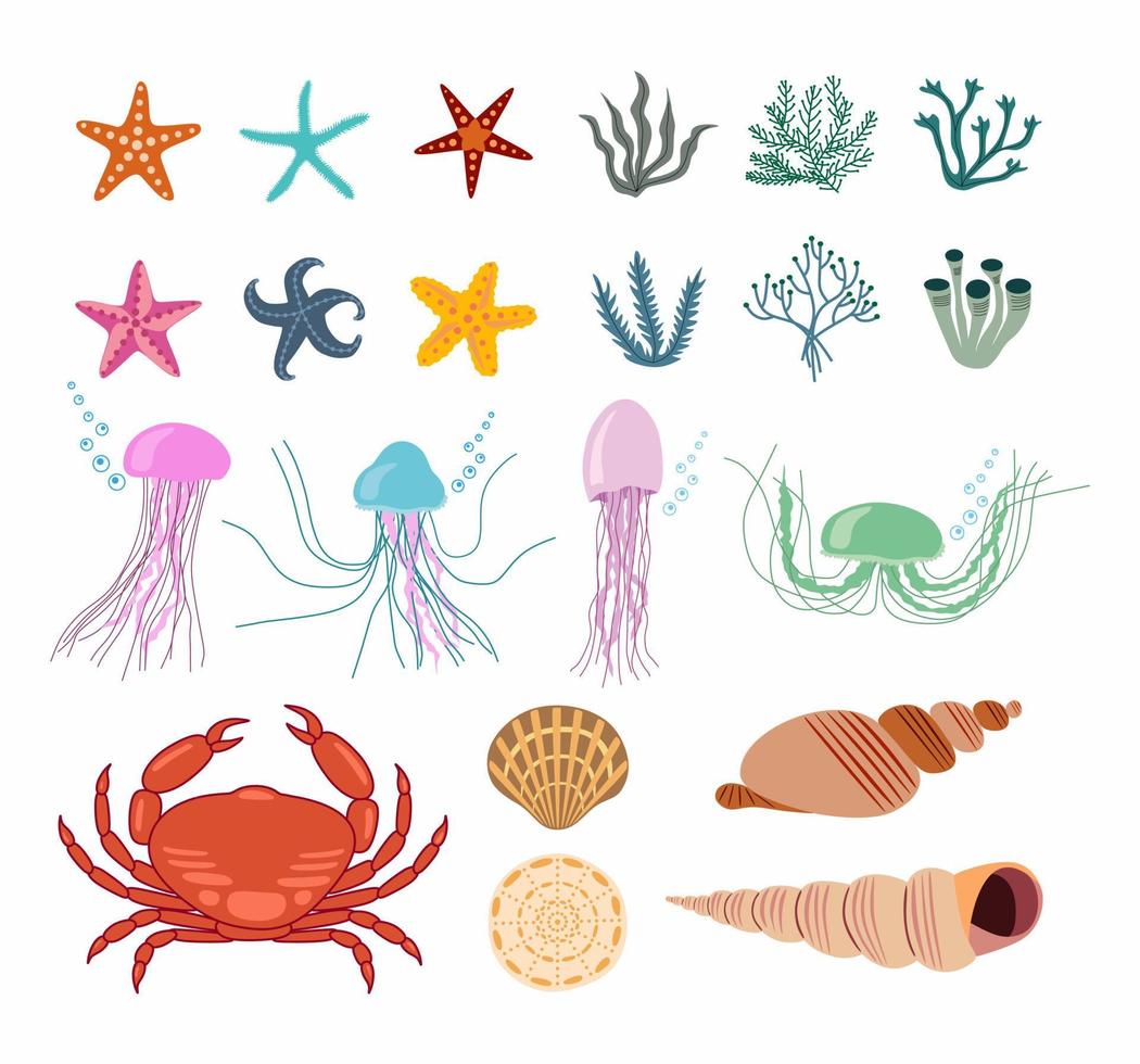 Set with ocean creatures. Vector isolated illustrations on a white background.