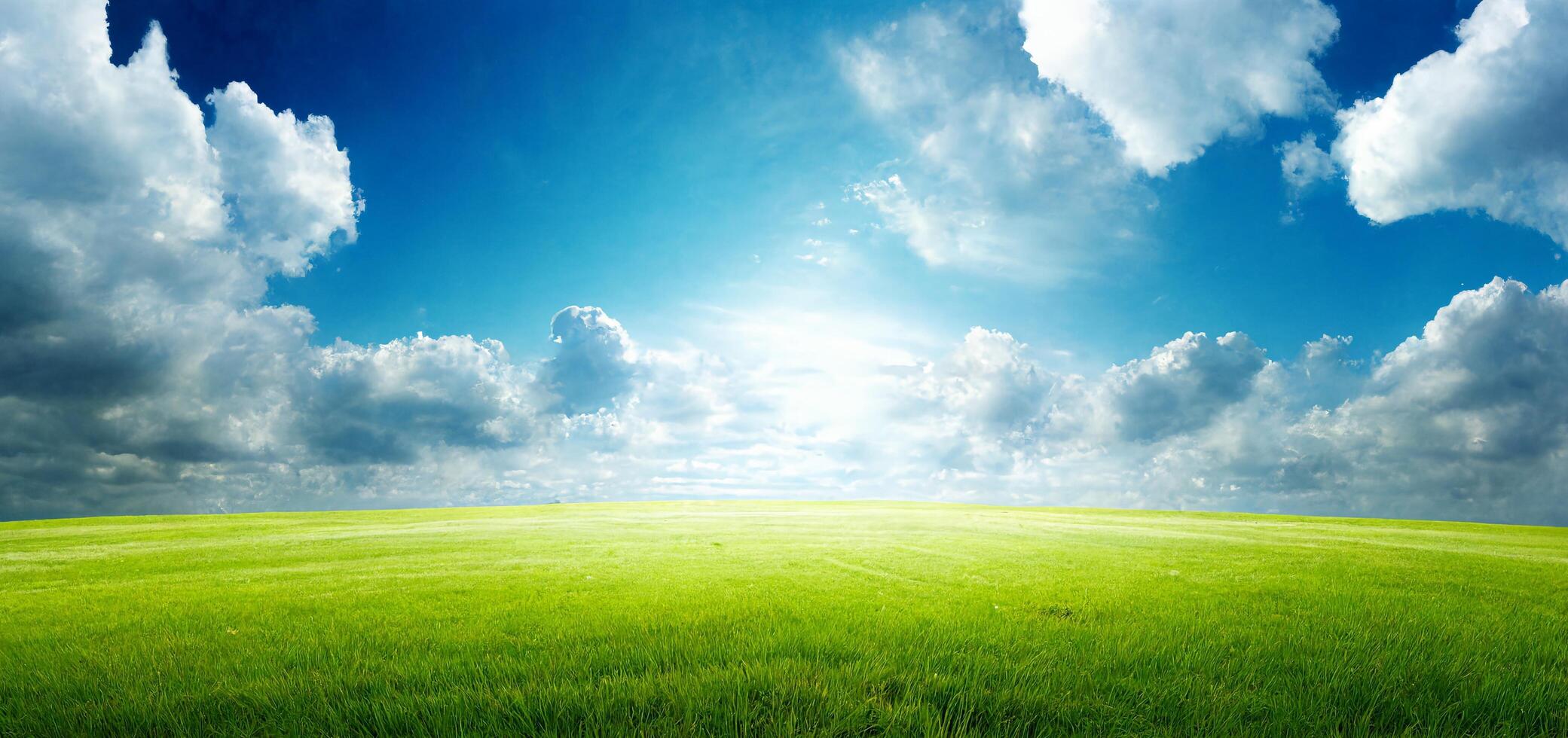 The landscape of natural grass field with . photo