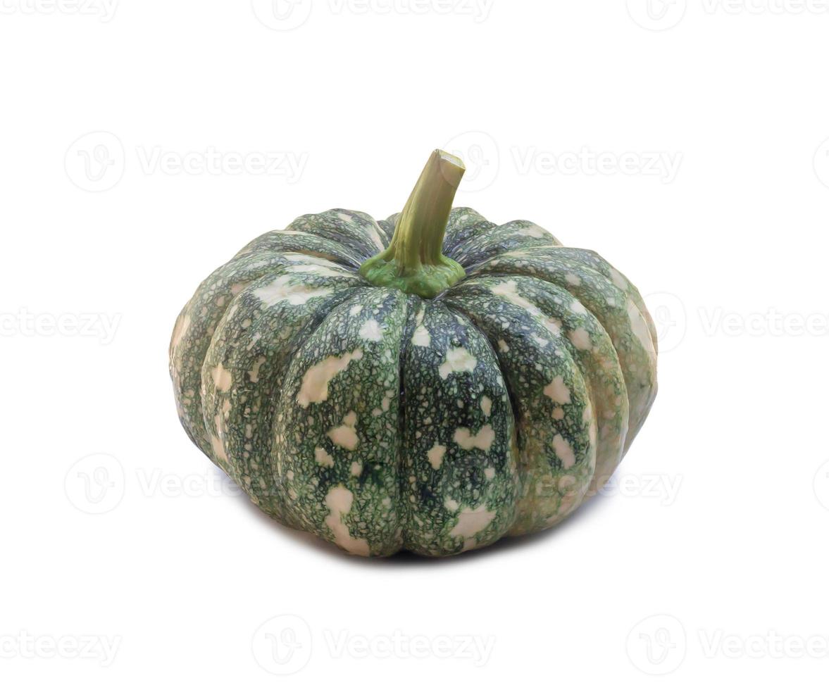 Single fresh green pumpkin with strange pattern isolated on white background with clipping path photo