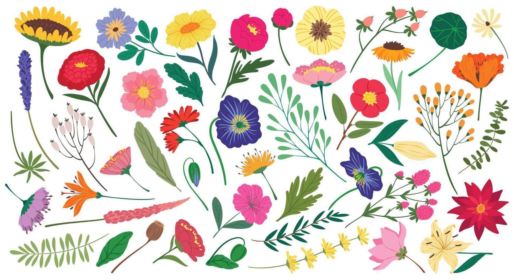 linda primavera flores y hojas, botánico floral elementos. plano dibujos animados florecer flor, flor silvestre y jardín floreciente plantas vector conjunto