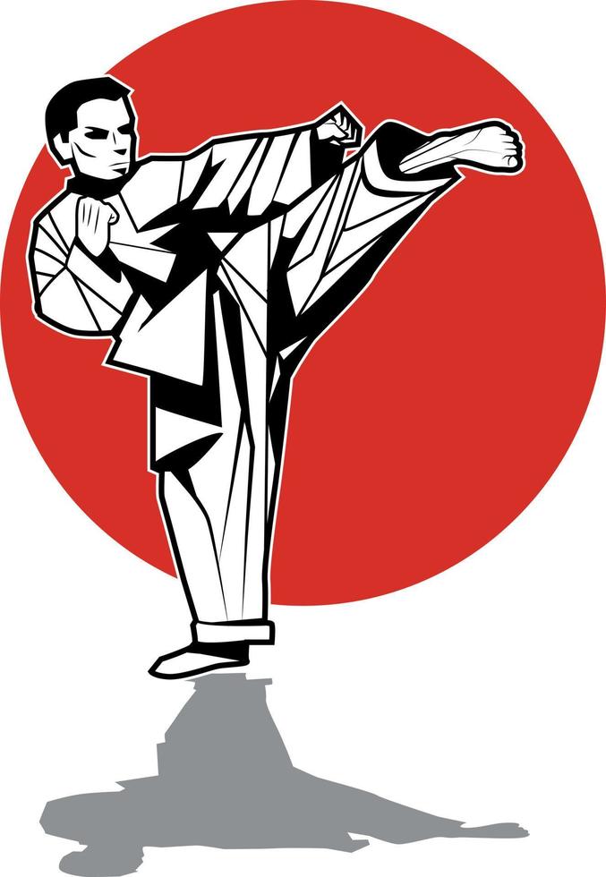 Image Of A Karate Fighter vector