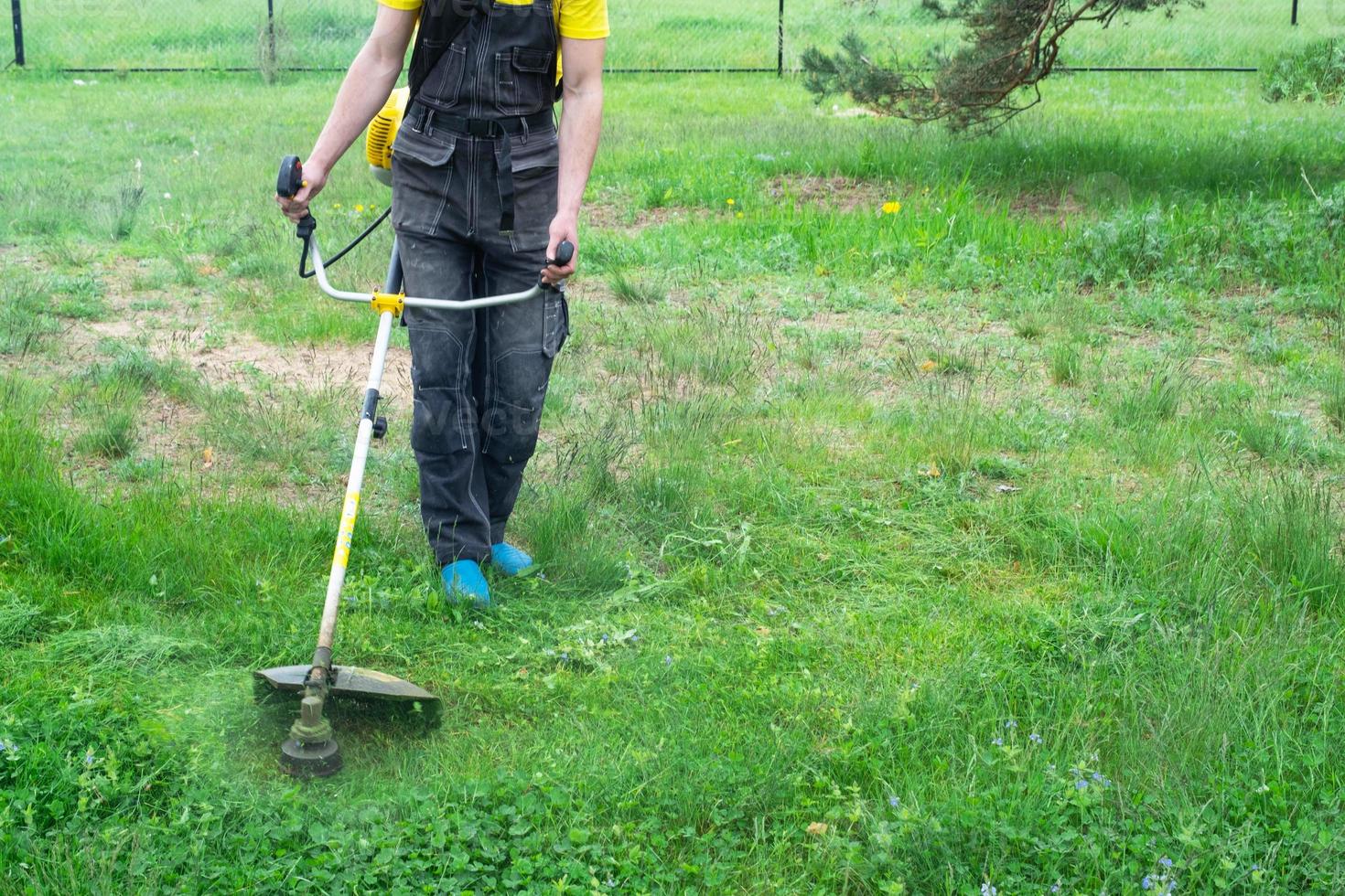 A male gardener mows the green grass of the lawn in the backyard with a gasoline mower. Trimmer for the care of a garden plot photo