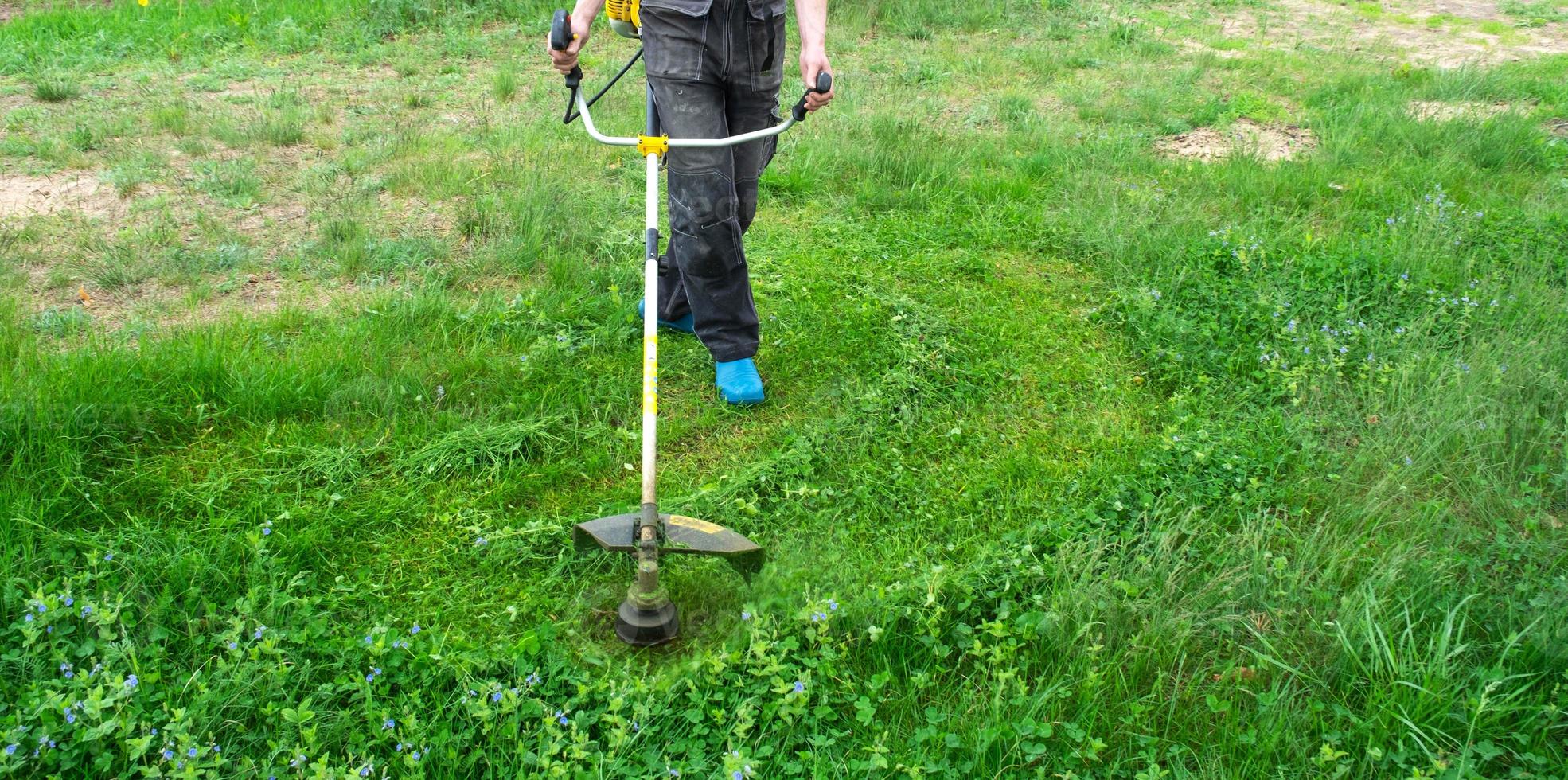 A male gardener mows the green grass of the lawn in the backyard with a gasoline mower. Trimmer for the care of a garden plot photo