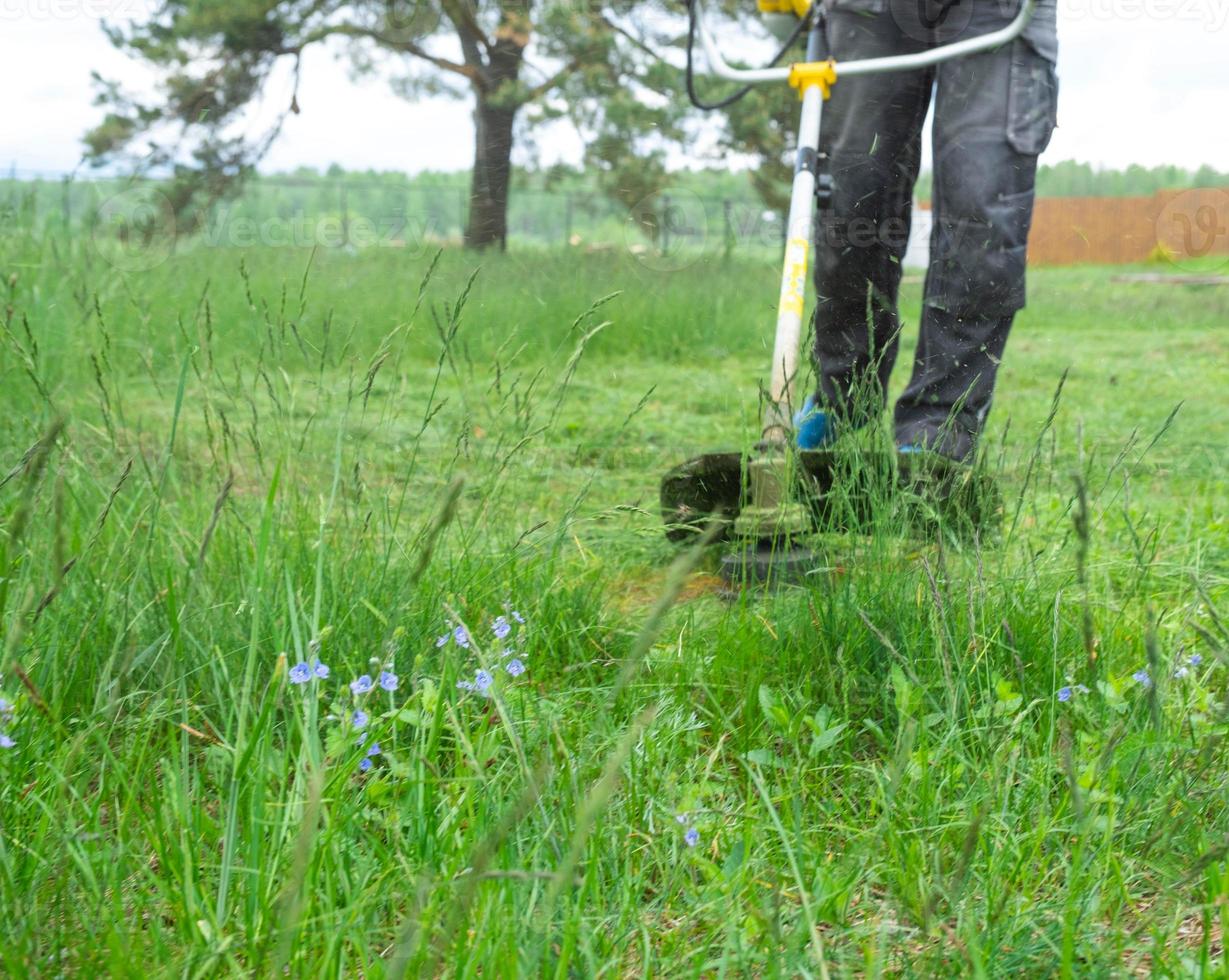 un masculino jardinero corta el verde césped de el césped en el patio interior con un gasolina cortacésped. recortadora para el cuidado de un jardín trama foto