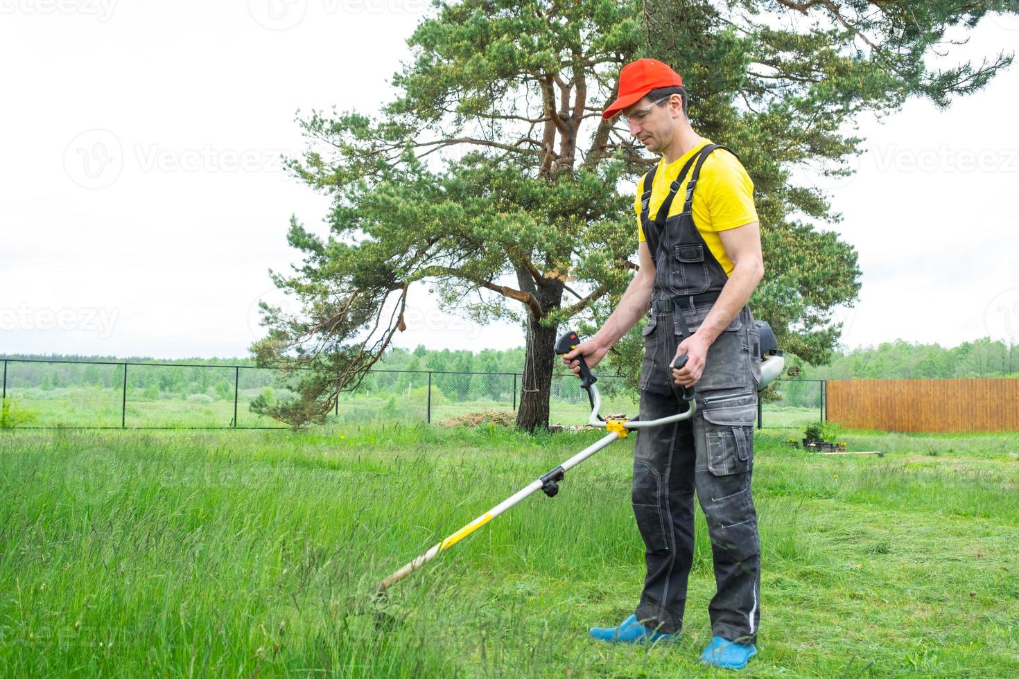 A male gardener mows the green grass of the lawn in the backyard with a gasoline mower. Trimmer for the care of a garden plot photo