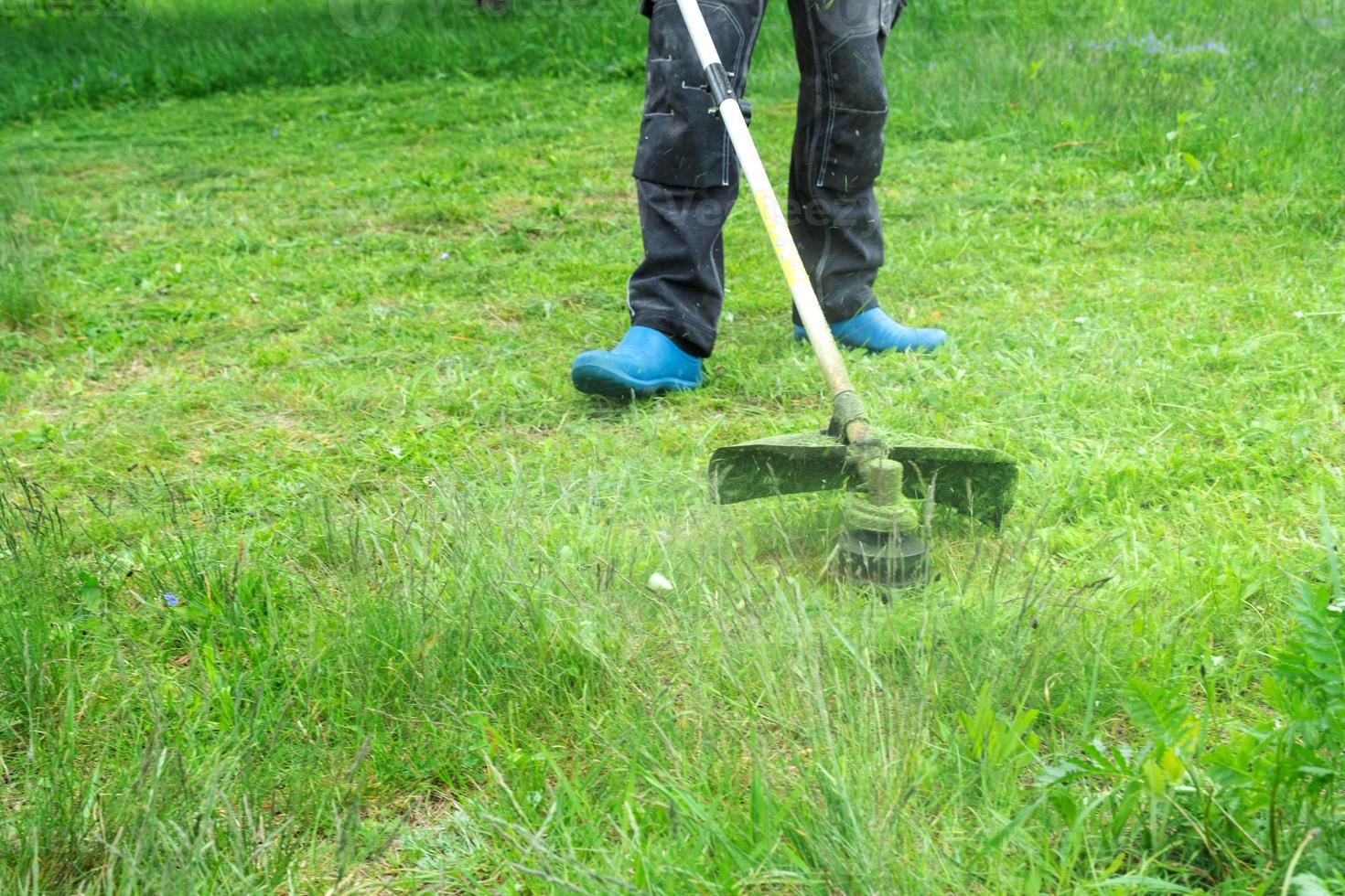 A male gardener mows the green grass of the lawn in the backyard with a gasoline mower. Trimmer for the care of a garden plot photo