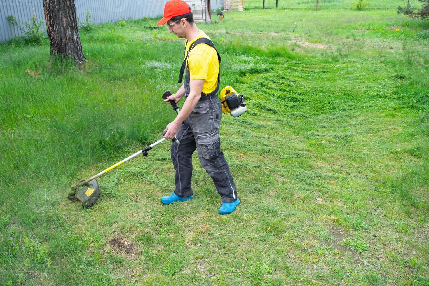 A male gardener mows the green grass of the lawn in the backyard with a gasoline mower. Trimmer for the care of a garden plot photo