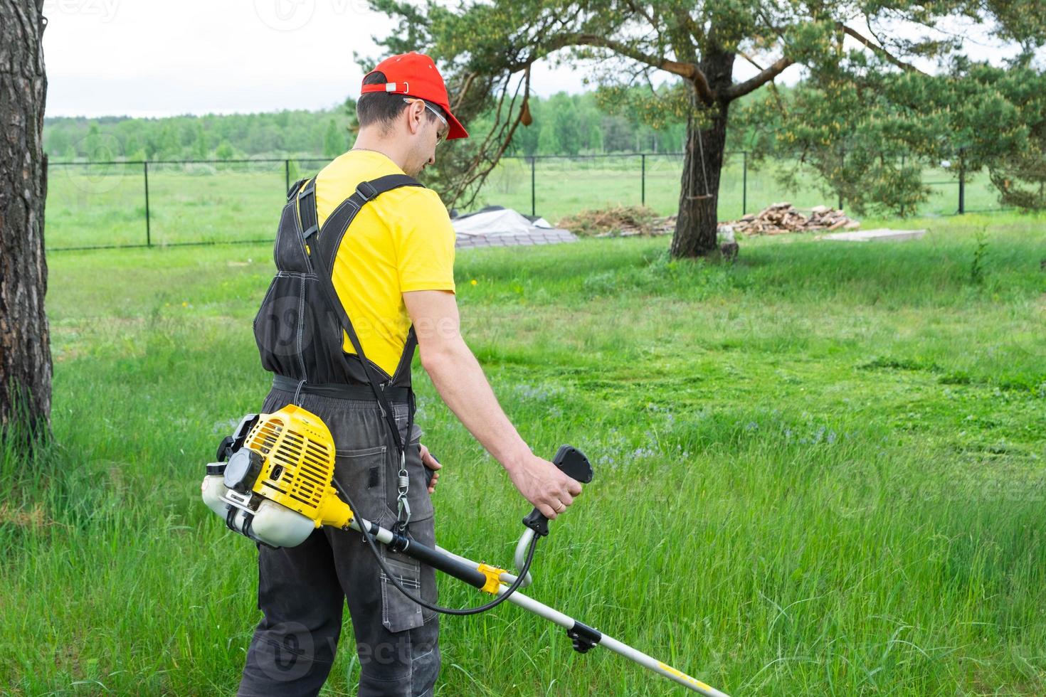 A male gardener mows the green grass of the lawn in the backyard with a gasoline mower. Trimmer for the care of a garden plot photo