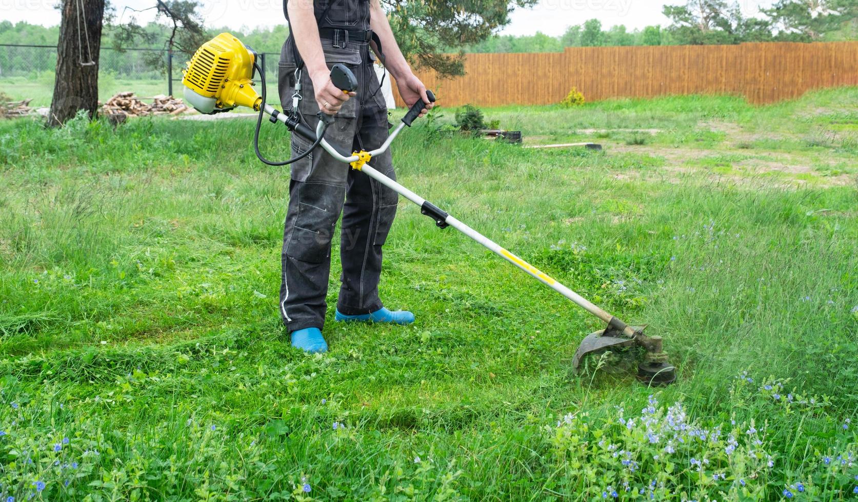 A male gardener mows the green grass of the lawn in the backyard with a gasoline mower. Trimmer for the care of a garden plot photo