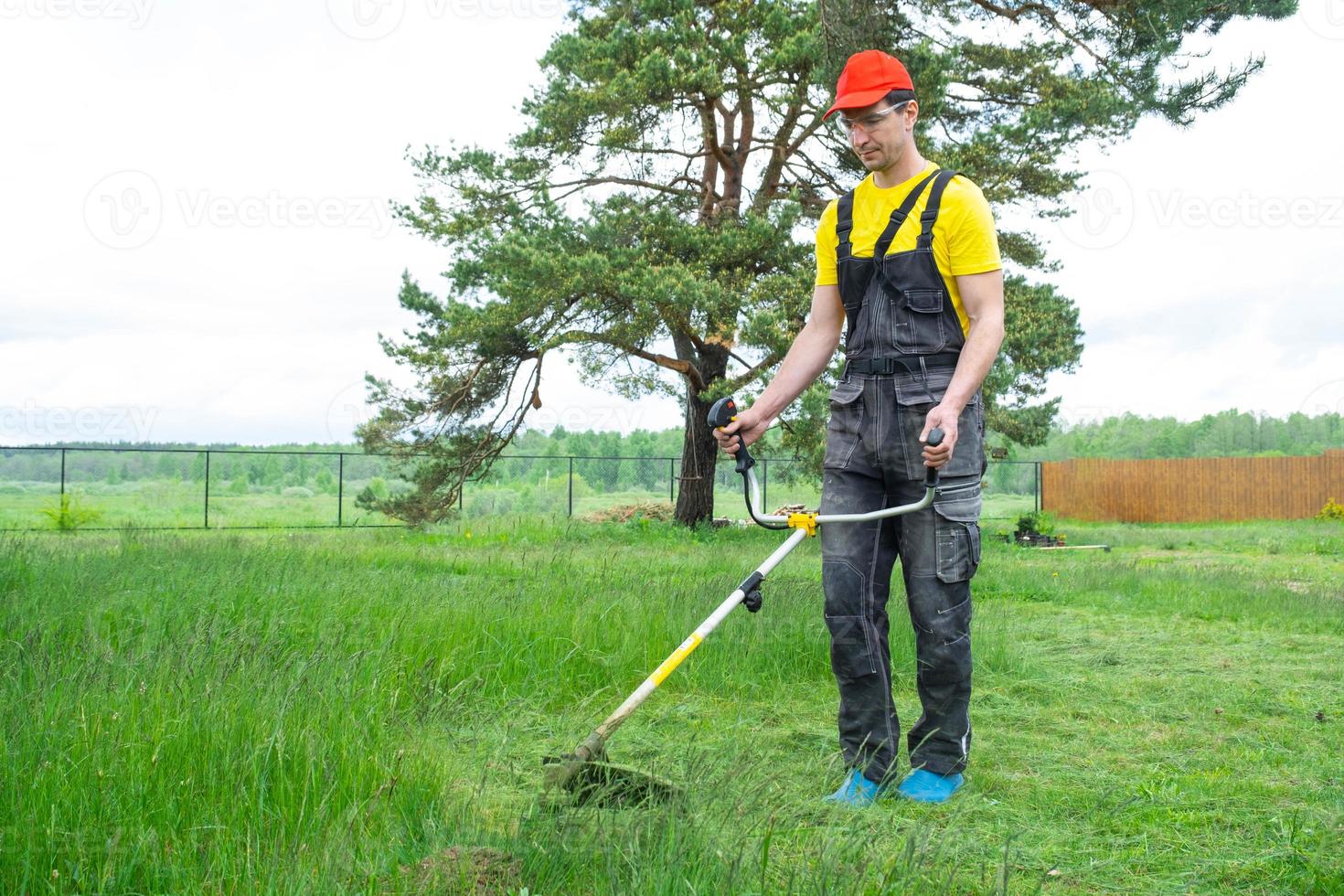 A male gardener mows the green grass of the lawn in the backyard with a gasoline mower. Trimmer for the care of a garden plot photo