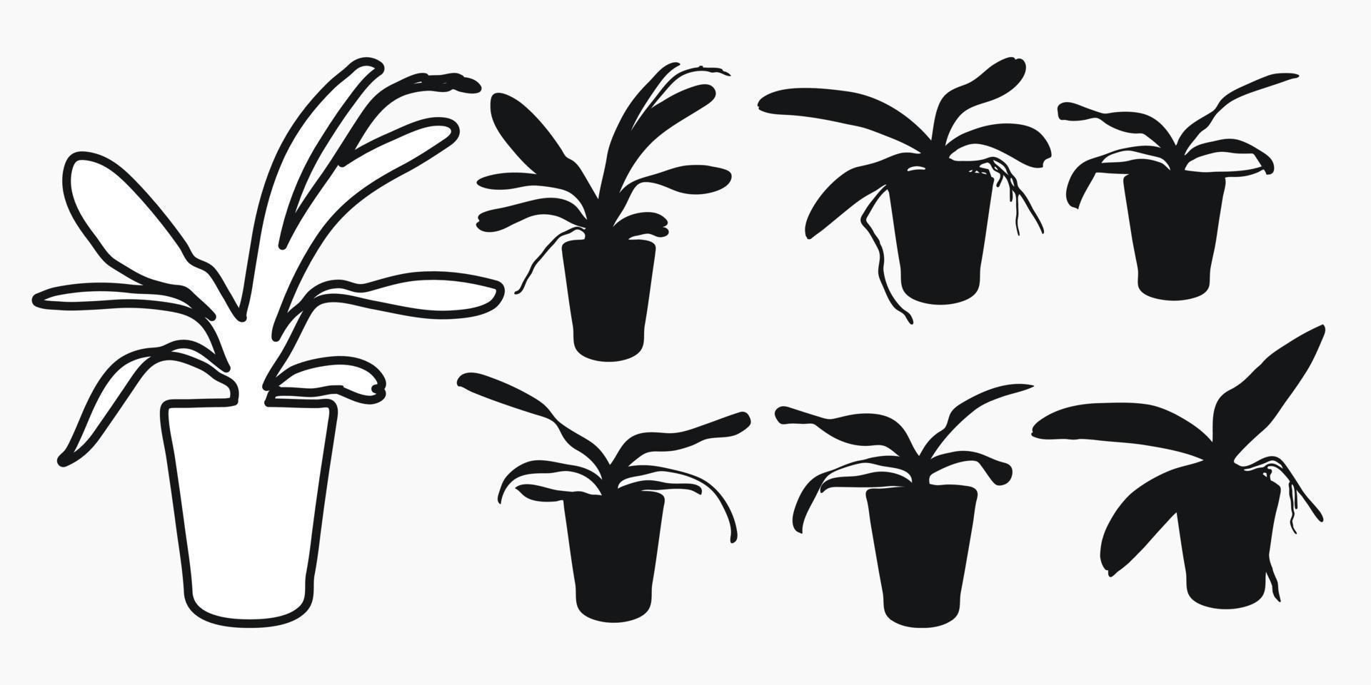 Flower realistic plant pot silhouette vector set. Orchid, phalaenopsi
