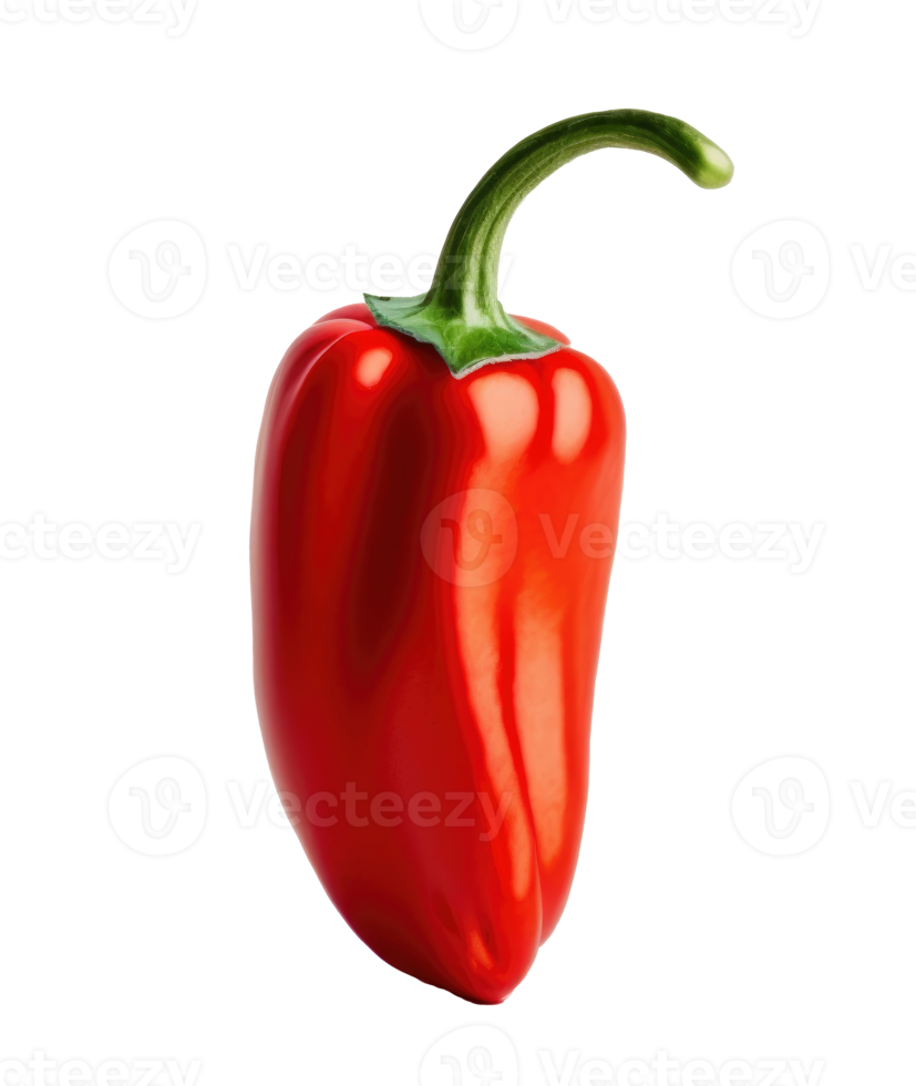 Red Chilly Pepper Isolated png