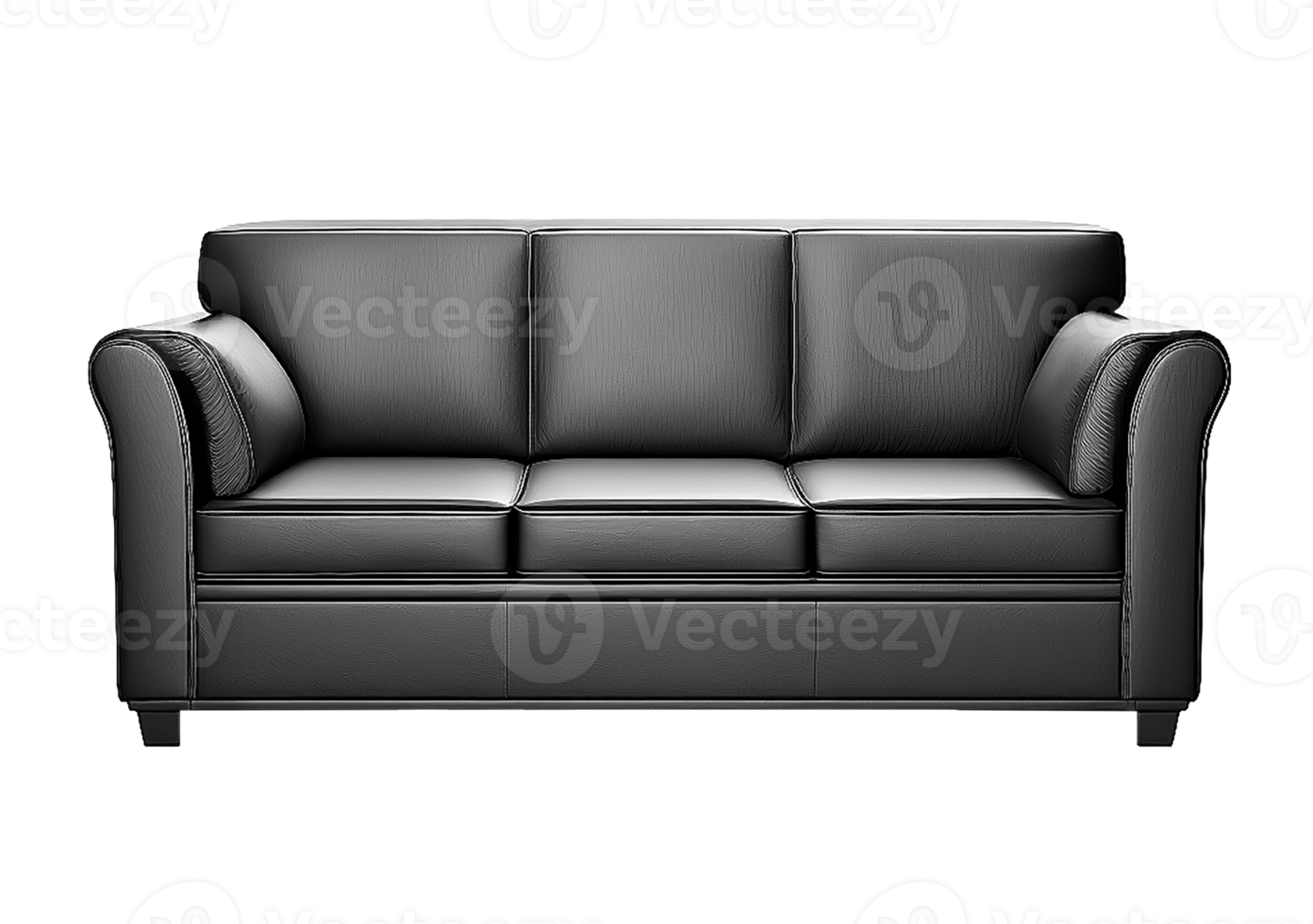 Modern Sofa Isolated png