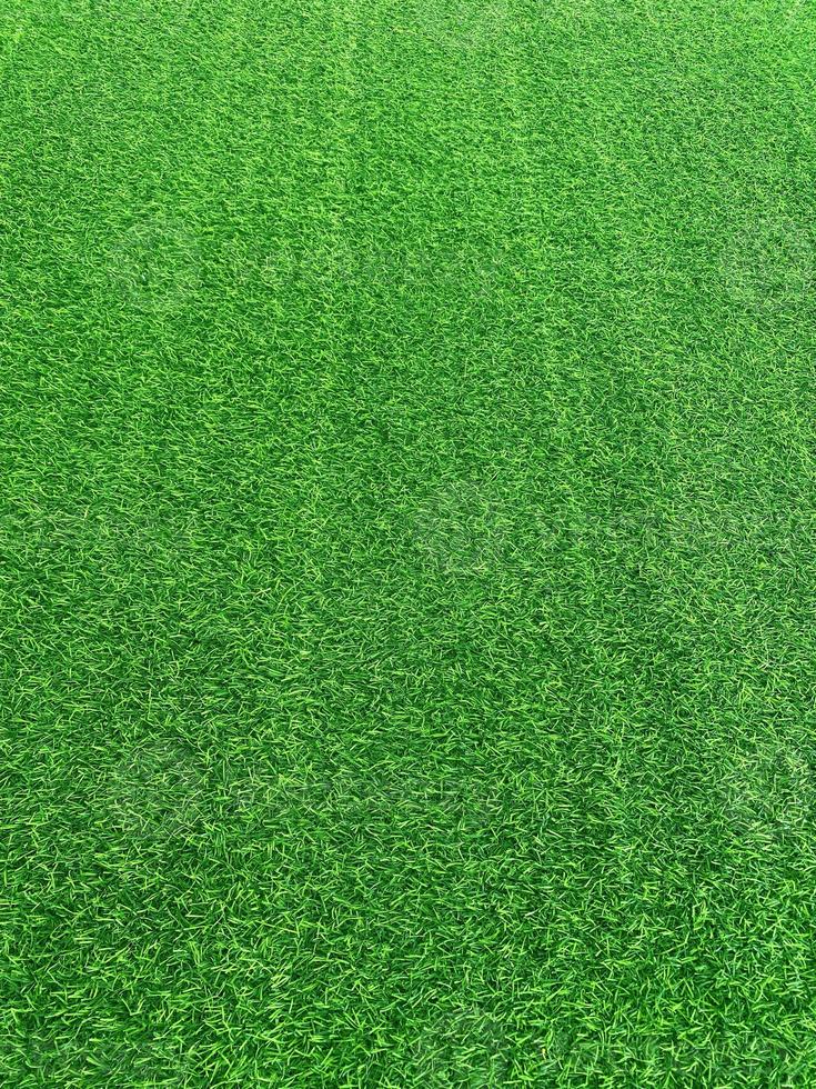 Green grass texture background grass garden concept used for making green background football pitch, Grass Golf, green lawn pattern textured background.. photo