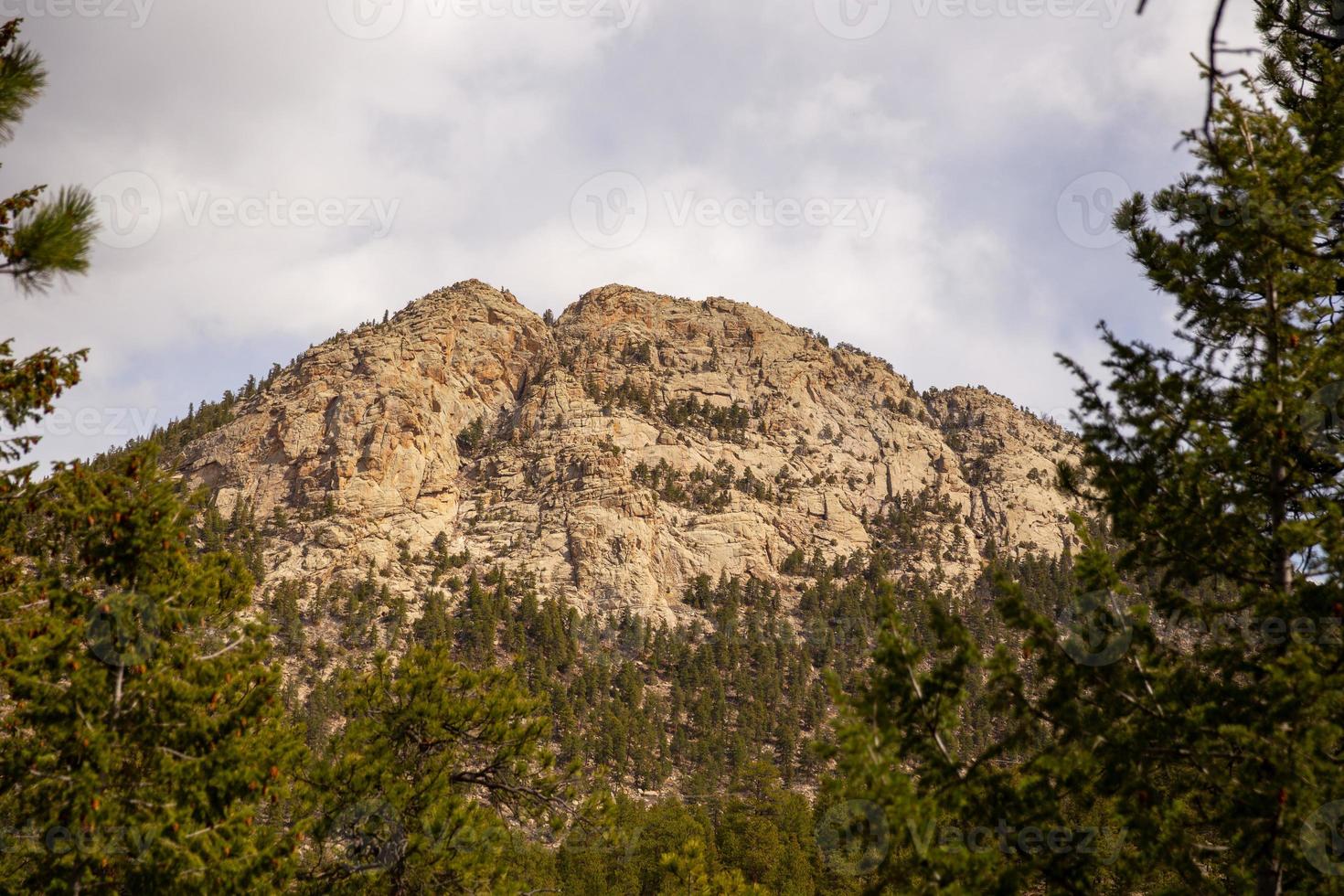 Mountain Peak with a Forest photo