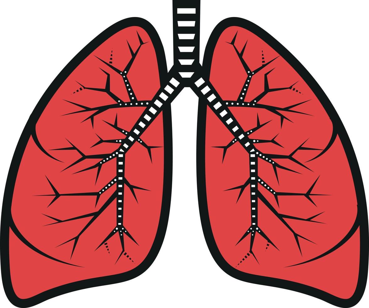 Vector Image Of Lungs. Image Of Human Organ