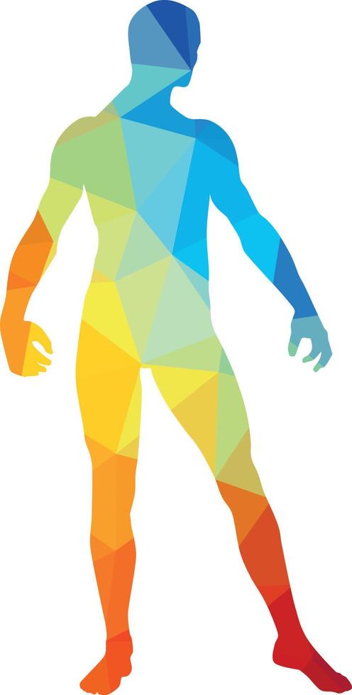 Colored Silhouette Of A Man, Vector Illustration