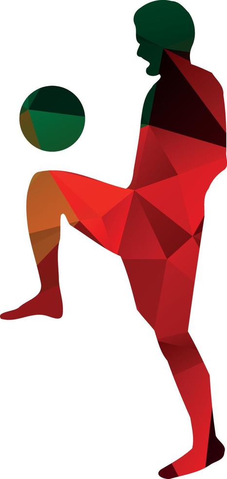 Colored Silhouette Of A Football Player vector