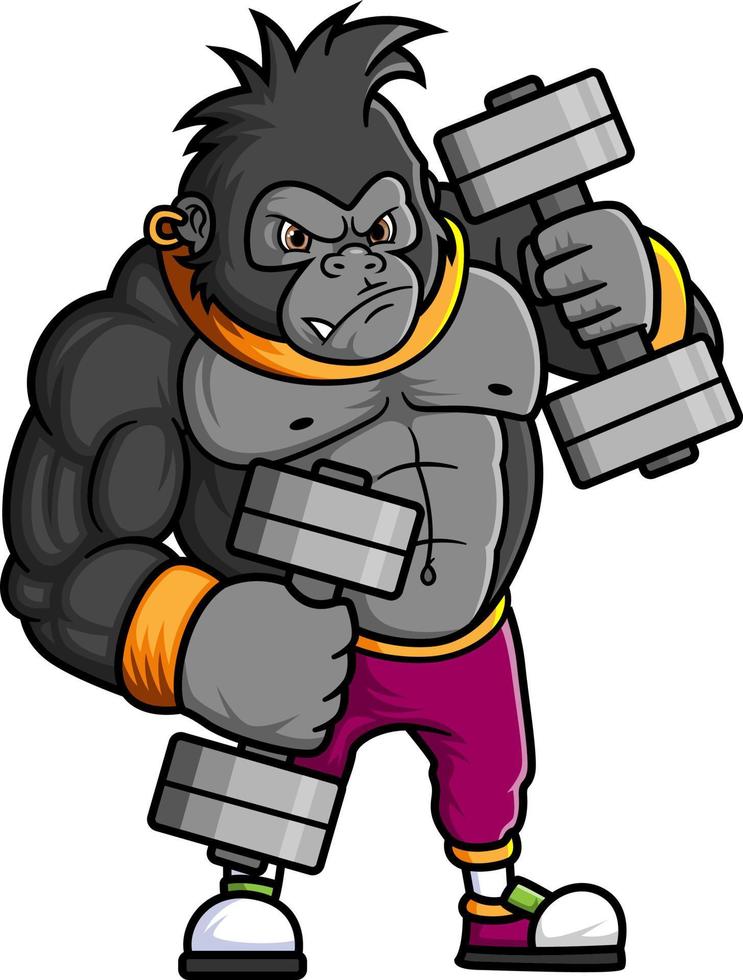 a strong gorilla exercising and lifting two big barbells at the gym vector