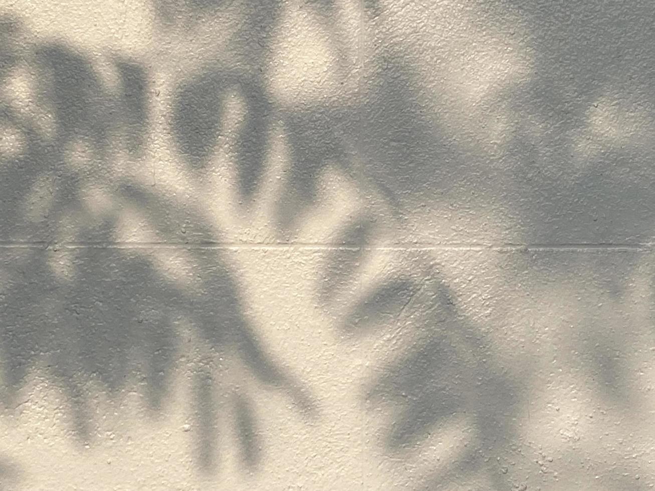 Leaves shadow background on concrete wall texture, leaves tree branches shade with sunlight photo