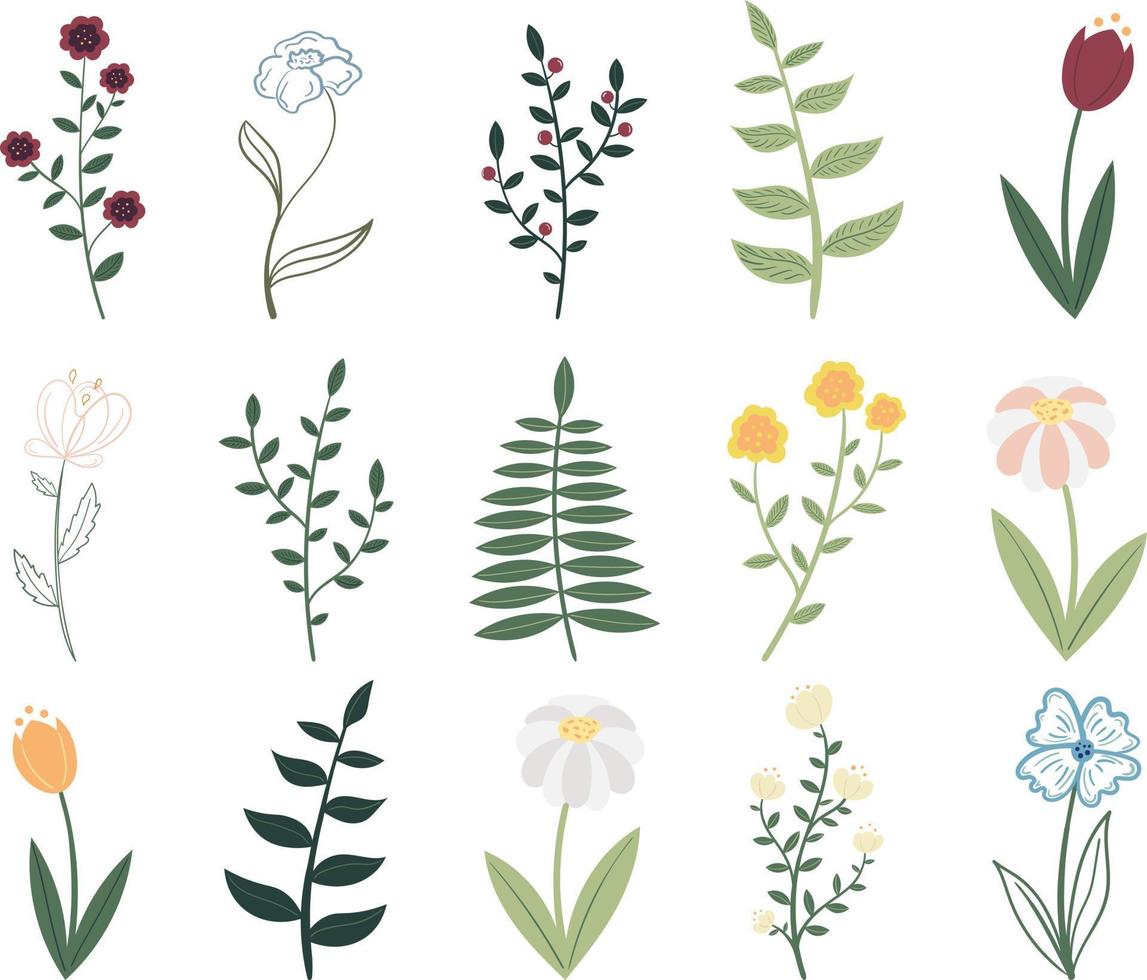 un conjunto de linda plantas y flores en el garabatear estilo. primavera ilustración en un plano estilo vector