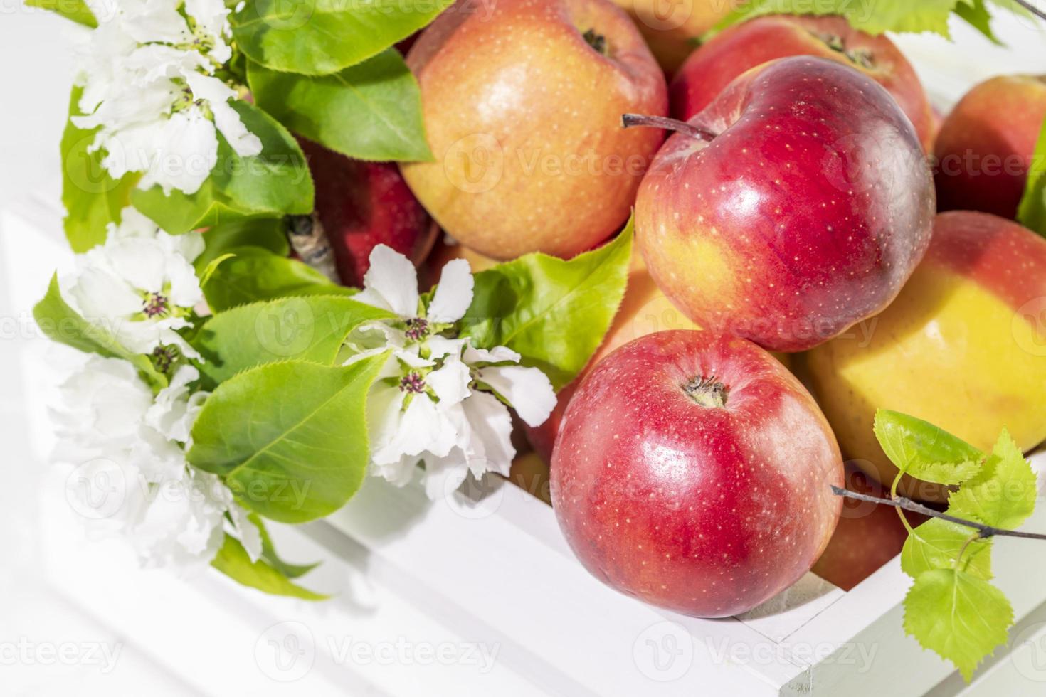 Close up natural red apples with blossom branch in wooden box photo