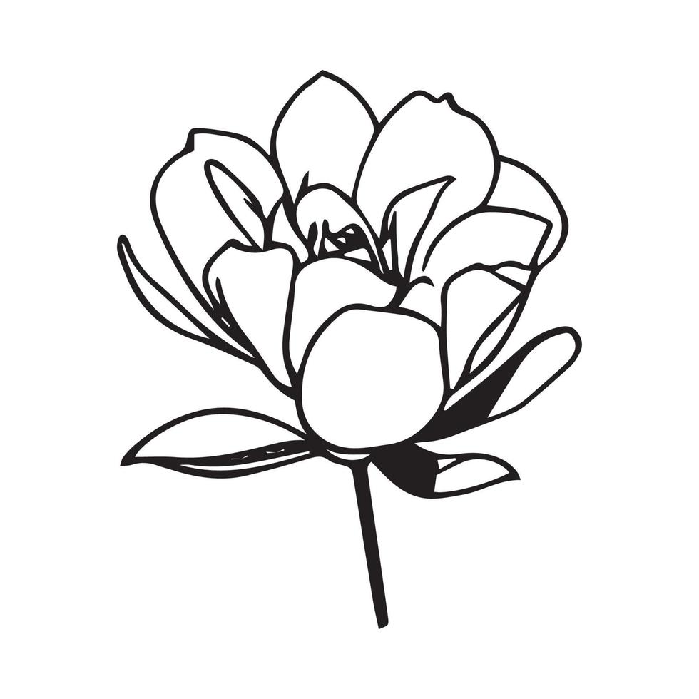 Flower Vector Illustration